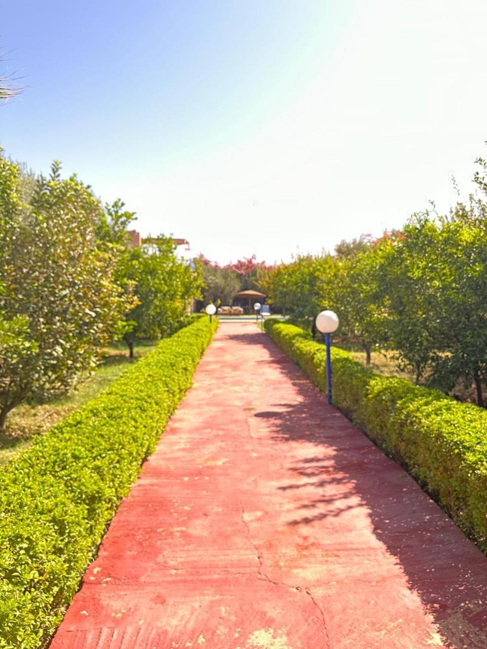 Villa Ms Holidays Mika Privatisee Marrakech 马拉喀什 外观 照片