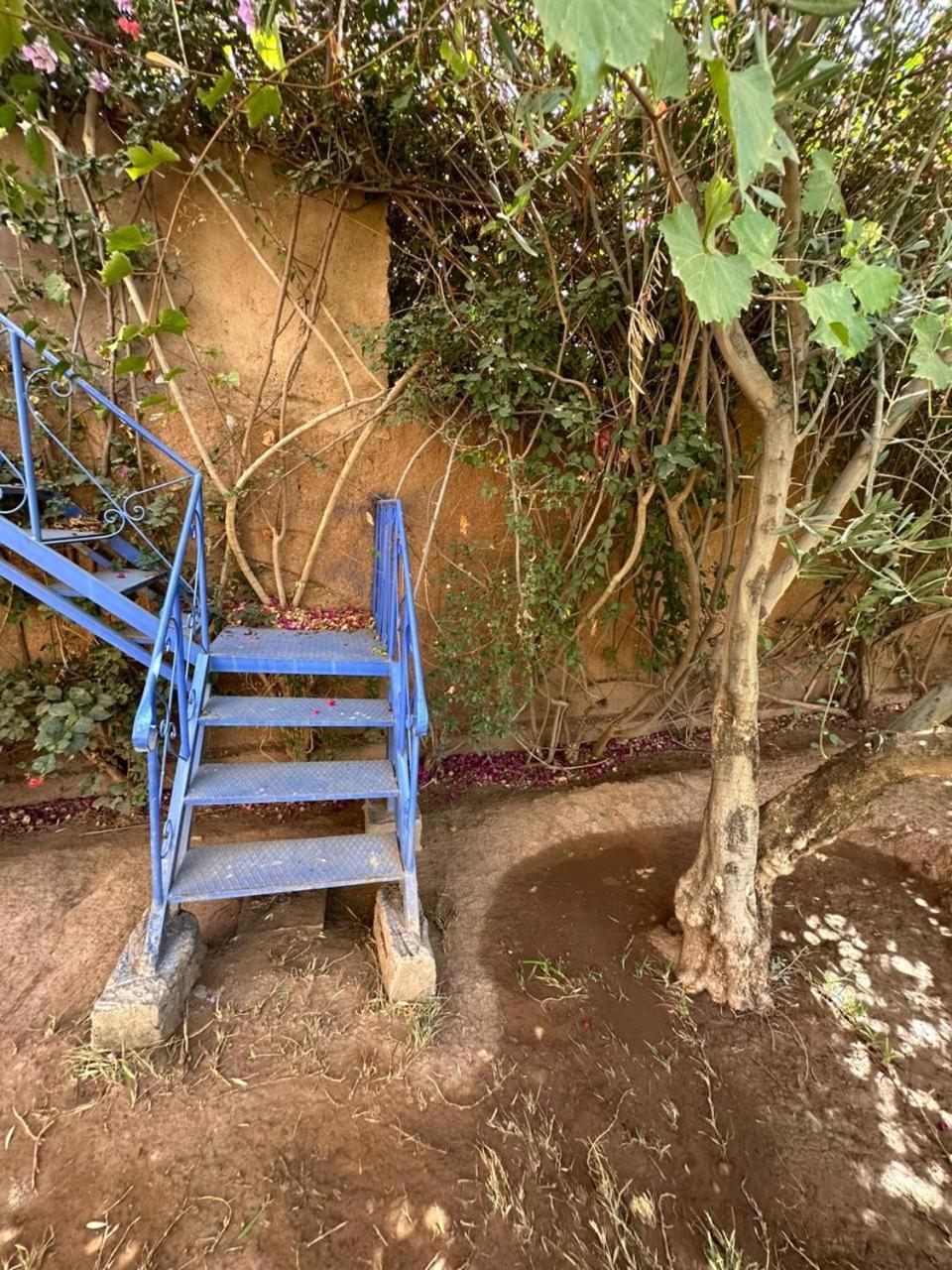 Villa Ms Holidays Mika Privatisee Marrakech 马拉喀什 外观 照片