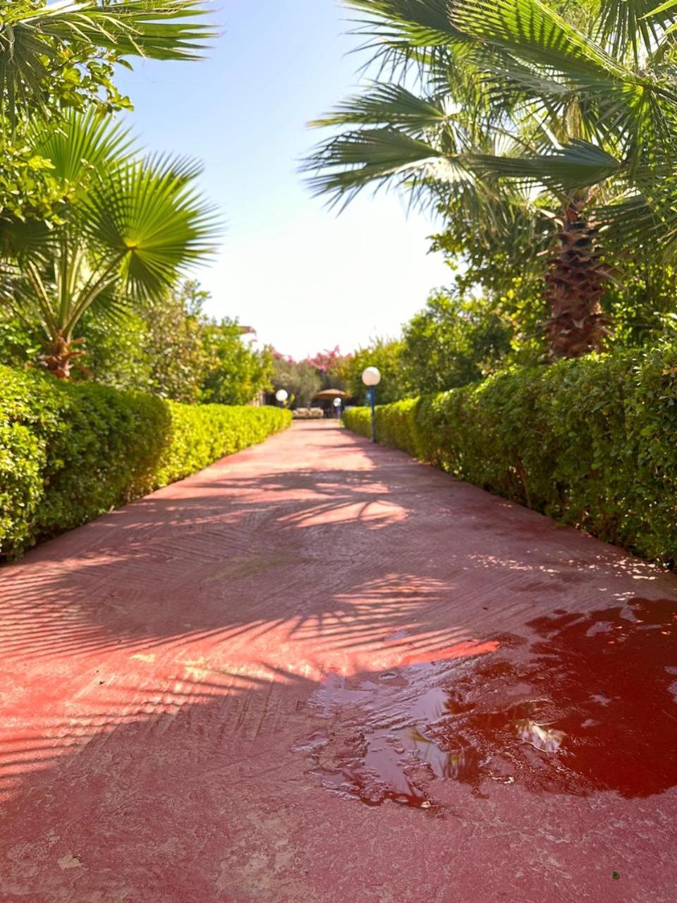 Villa Ms Holidays Mika Privatisee Marrakech 马拉喀什 外观 照片