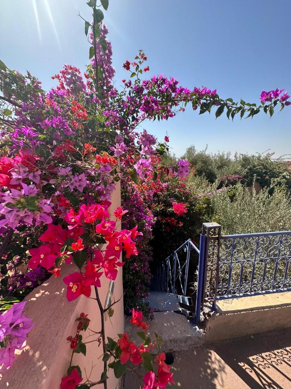 Villa Ms Holidays Mika Privatisee Marrakech 马拉喀什 外观 照片