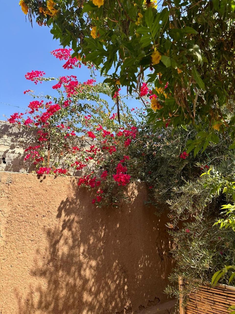 Villa Ms Holidays Mika Privatisee Marrakech 马拉喀什 外观 照片